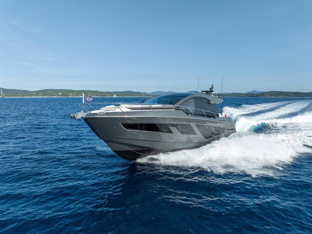 Predator 65