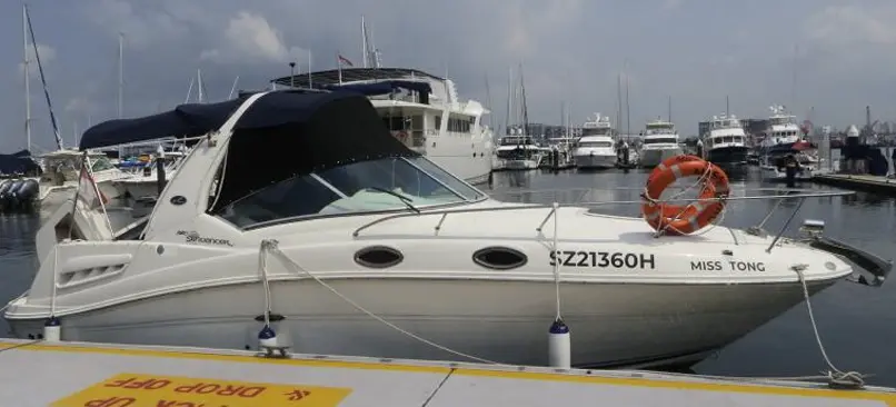 Sea Ray 260 Sundancer